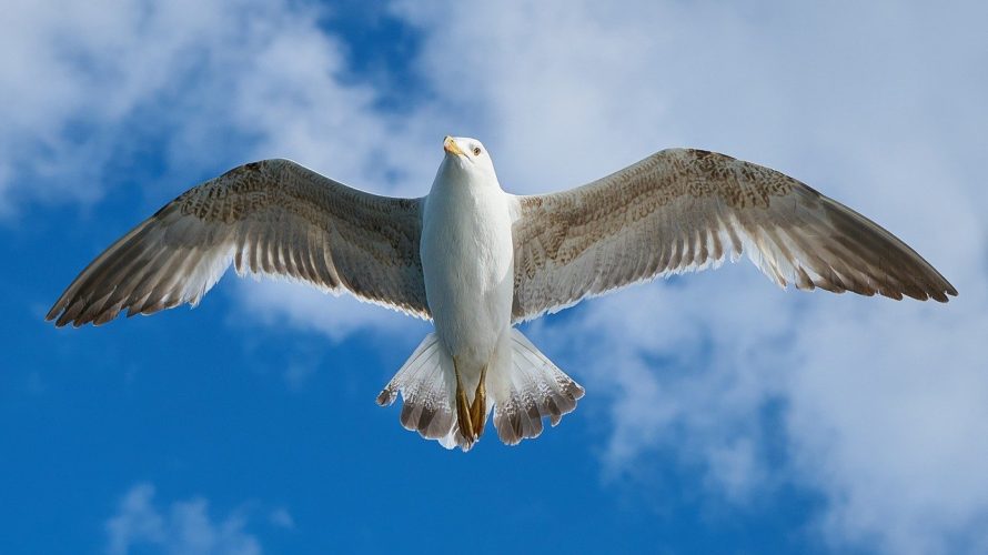 WHO空気感染を認定、でもそれってエアゾル感染でしょ