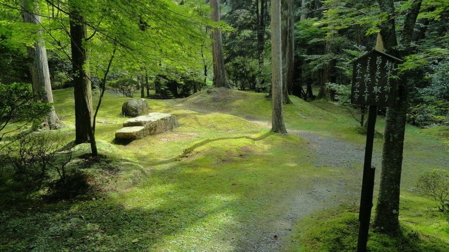 東京都の感染者は本当に増えたのか