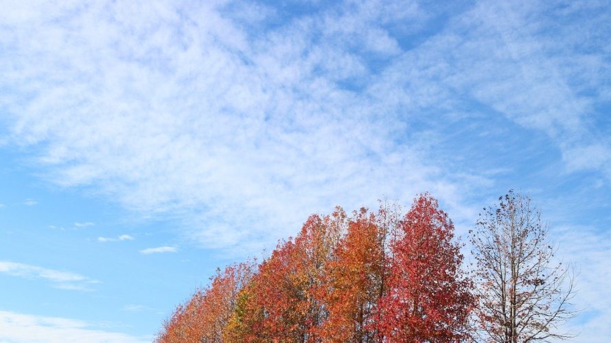 菅総理誕生のタイミングで携帯会社と地方銀行の事件発生