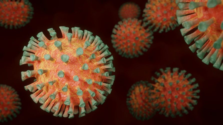 安全だが効果ないワクチンかリスク有り効果ワクチンか