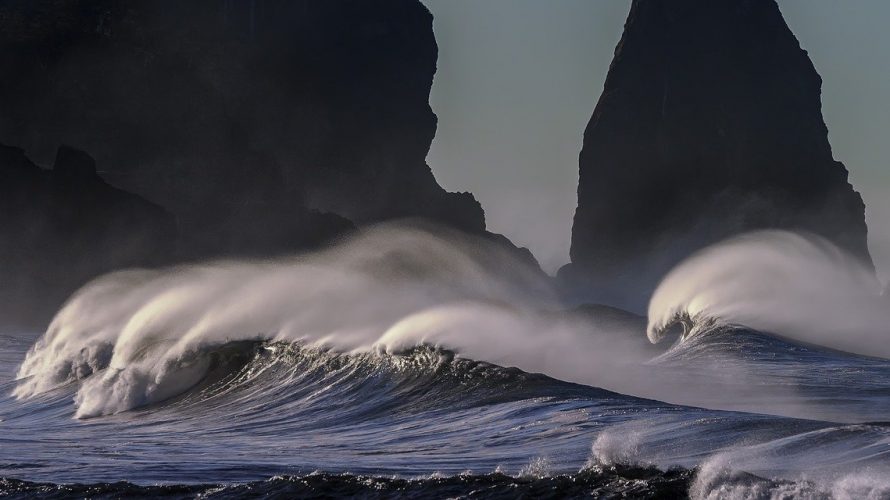 ４ヶ月毎に感染流行する新感染症、次は４月が要注意